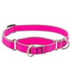 Lupine High Lights 3/4" Pink Diamond 10-14" Martingale Training Collar