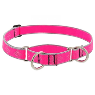 Lupine High Lights 1" Pink Diamond 19-27" Martingale Training Collar