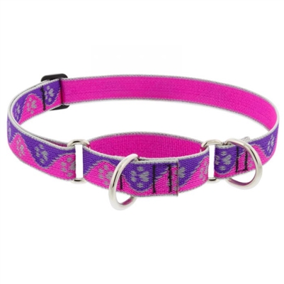Lupine High Lights 1" Pink Paws 19-27" Martingale Training Collar