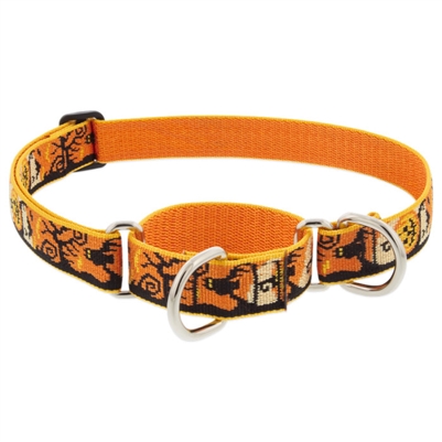 Lupine 1" Spooky 15-22" Martingale Training Collar