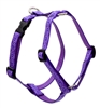 Lupine 3/4" Jelly Roll 20-32" Roman Harness