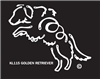 K-Lines Golden Retriever - Window Decal