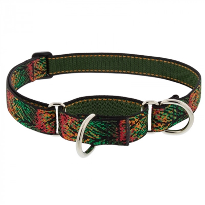 Retired Lupine 1" Autumn Blaze 19-27" Martingale Training Collar