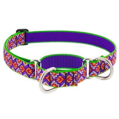 Retired  Lupine 1" Azteca 15-22" Martingale Training Collar