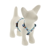 Lupine 1/2" Baby Whale 9-14" Roman Harness