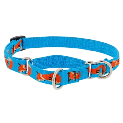Retired Lupine 1" Foxy Paws 15-22" Martingale Training Collar 