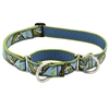 Lupine 1" Gone Fishin' 15-22" Martingale Training Collar