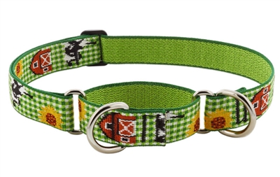 Retired Lupine 1" Heartland 19-27" Martingale Training Collar