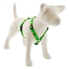 Lupine 3/4" Happy Holidays Green 20-32" Roman Harness