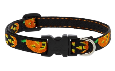 Retired Lupine 1/2" Jack O Lantern 10-16" Adjustable Collar