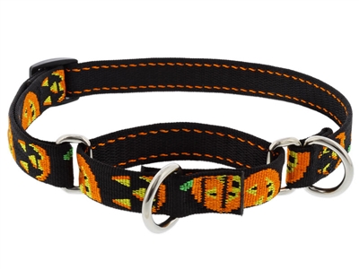 Retired Lupine 3/4" Jack O Lantern 14-20" Martingale Training Collar