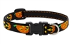 Retired Lupine 1/2" Jack O Lantern 6-9" Adjustable Collar