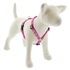 Lupine 3/4" Lovebirds 20-32" Roman Harness