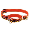 Lupine 3/4" Lucky Dragon 10-14" Martingale Training Collar