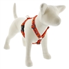 Lupine 1" Lucky Dragon 20-32" Roman Harness