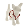 Lupine 1/2" Lucky Dragon 9-14" Roman Harness