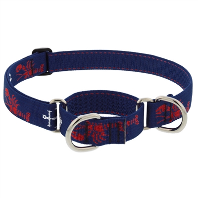 Retired Lupine 1" Lobstahs 19-27" Martingale Training Collar