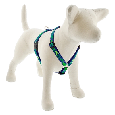 Lupine 3/4" Lucky 12-20" Roman Harness