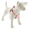 Lupine 3/4" Lovable Gnomes 15-21" Step-in Harness