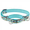 Lupine 3/4" Mama Llama 10-14" Martingale Training Collar