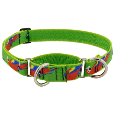 Retired Lupine 1" Parrots 19-27" Martingale Training Collar