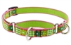 Retired Lupine 3/4" Picnic Basket 14-20" Martingale Training Collar