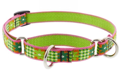 Retired Lupine 3/4" Picnic Basket 14-20" Martingale Training Collar