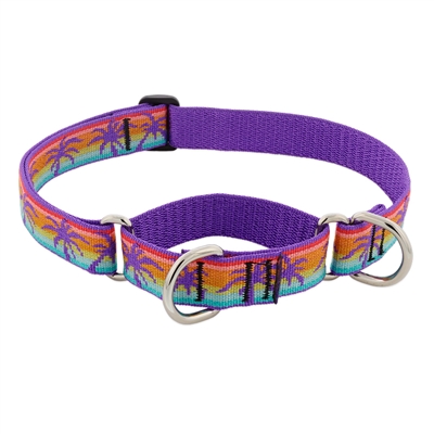 Retired Lupine 1" Sunset Beach 19-27" Martingale Training Collar