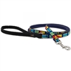 Retired Lupine 1/2" Signal Flags 6' Padded Handle Leash