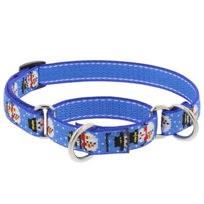 Retired Lupine 3/4" Snowville 10-14" Martingale Training Collar