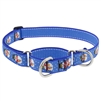 Retired Lupine 1" Snowville 19-27" Martingale Training Collar