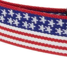 Lupine 1" Stars N Stripes Training Tab