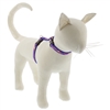 Lupine 1/2" Super Star 12-20" H-Style Cat Harness