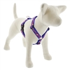 Lupine 1" Super Star 20-32" Roman Harness