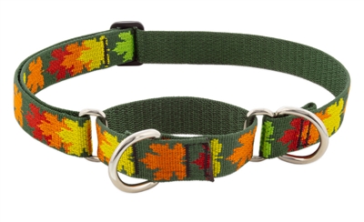 Retired Lupine 1" Sugar Bush 19-27" Martingale Training Collar