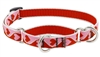 Retired Lupine 3/4" Sweetheart 14-20" Martingale Training Collar