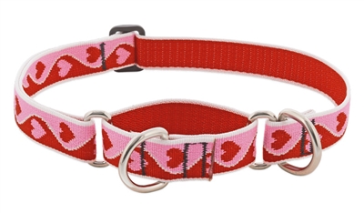 Lupine 1" Sweetheart 19-27" Martingale Training Collar