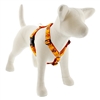 Lupine 1" Turkey Trot 20-32" Roman Harness