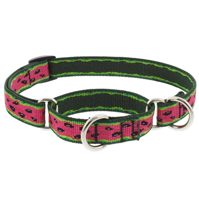 Retired Lupine 1" Watermelon 15-22" Martingale Training Collar