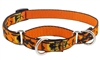 Retired Lupine 3/4" Wicked 10-14" Martingale Training Collar