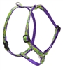 Retired Lupine 1/2" Big Easy 12-20" Roman Harness