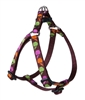 Retired Lupine 1/2" Candy Apple 10-13" Step-in Harness