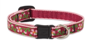 Retired Lupine 1/2" Cherry Blossom Cat Safety Collar