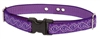 Lupine 1" Jelly Roll Underground Fence Collar