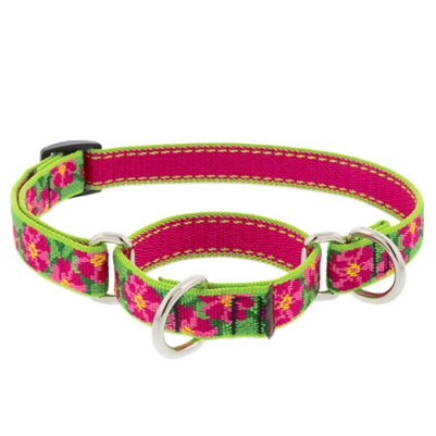 Lupine 3/4" Petunias 10-14" Martingale Training Collar