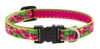 Lupine 1/2" Petunias 10-16" Adjustable Collar