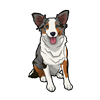 Australian Shepherd Sticker