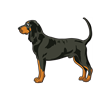 Bloodhound Sticker