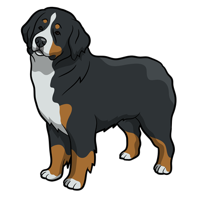 Bernese Mountain Dog Sticker