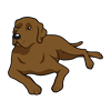 Chocolate Labrador Sticker